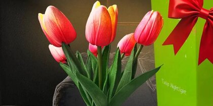 ������ ����� � ��������� �������: 5 ������������ ���� �� 8 ����� ������ ������