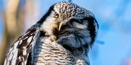 �������� � �����. ����� ������ ��� ��������� 7 �����