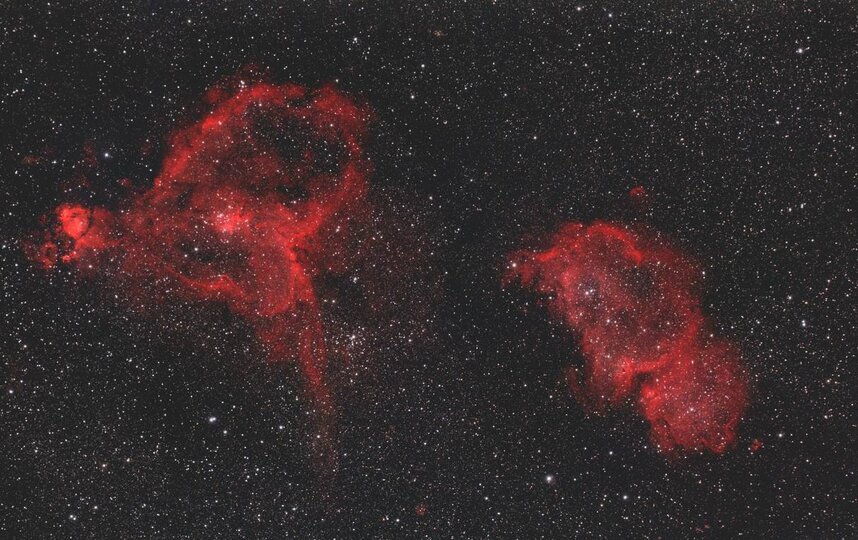 Тюльпан, Душа и не только. Роскосмос опубликовал фото космических цветов к 8 марта