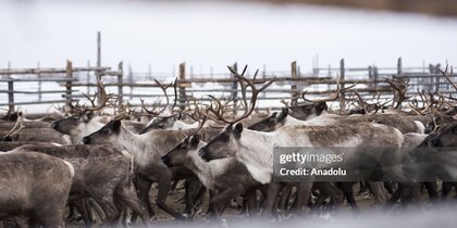 �������� ����� � ������ ����� ����������� ����������