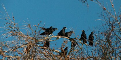 ������������ ����� ������� � ���������. � ��������� ��������� �����