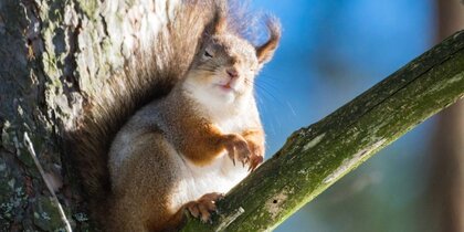 ����� � ������� �����: � ���������� ������������ �����