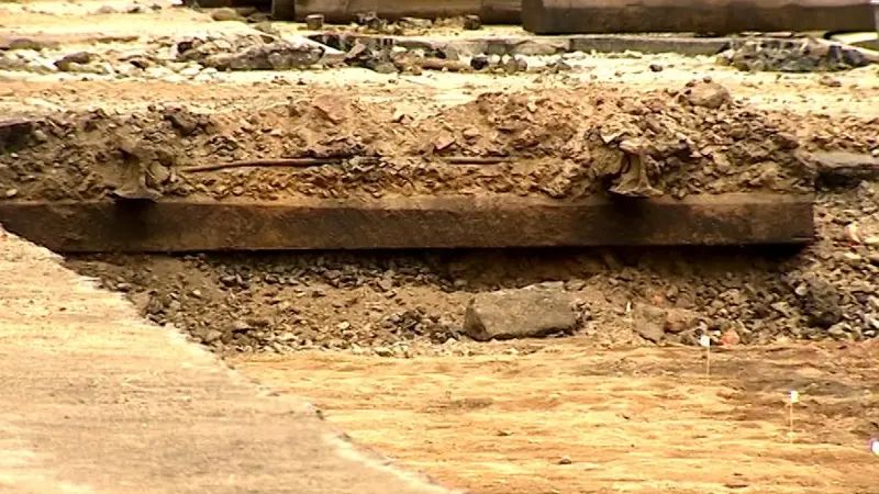 В Ростовской области обнаружили новый вид древнего ископаемого барана