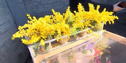 � ���������� ����� 8 ����� �������� ���������� �������� �������