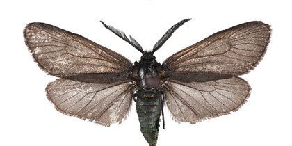 � �������� ����� ����� ��� ������ ��� �������