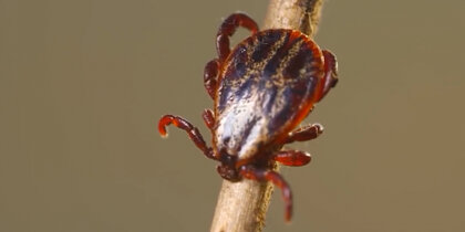 ��������������� ����������� � ������ ������ ������ � 2026 ����