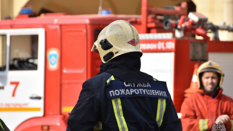 Пожароопасный сезон в Петербурге планируется установить с 15 апреля