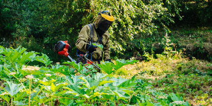 ����� � ���������� �� ���������� ��������� � ���������� �����