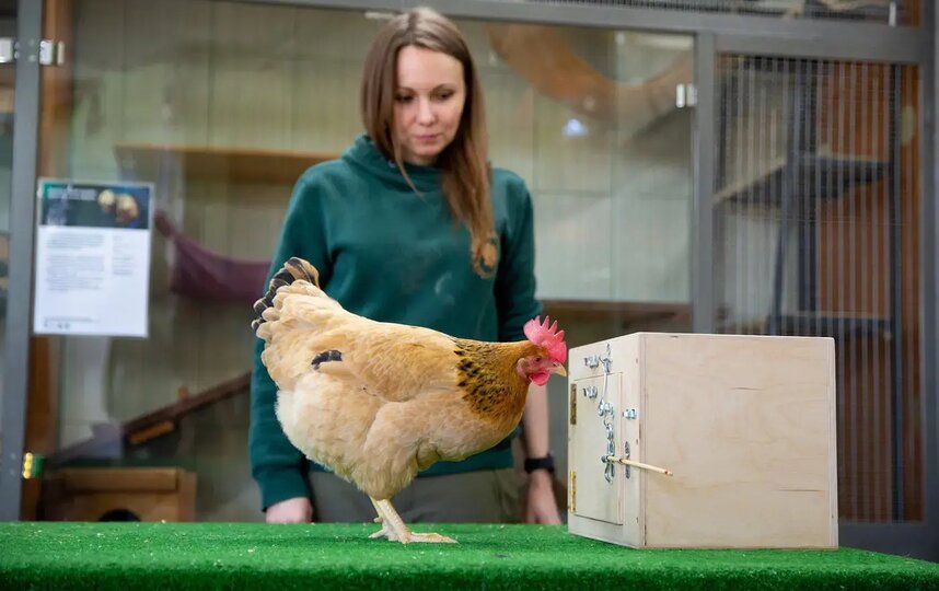 ��������� ����� &ndash; ����� ������� �������, �� � ��� ����� �� �����.