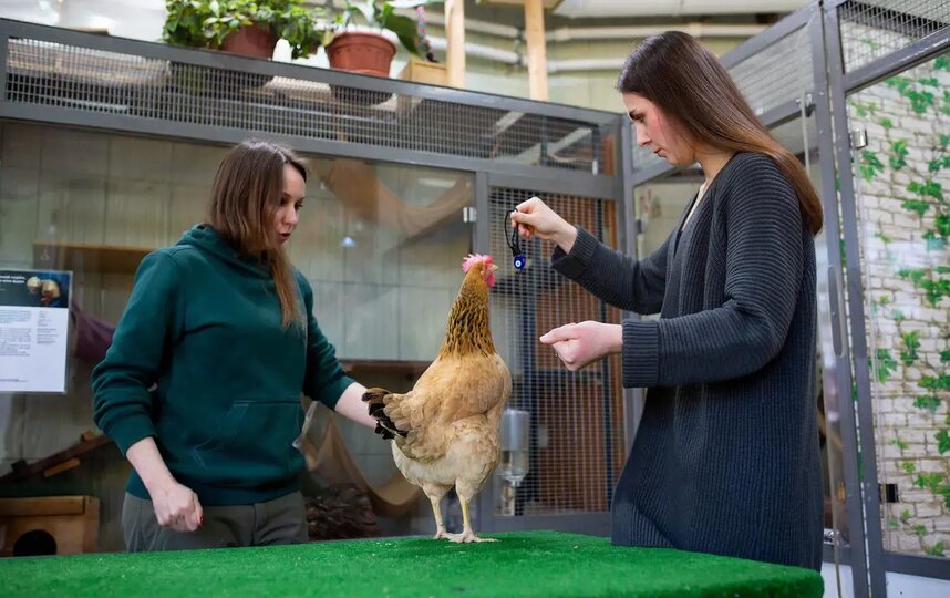 ������� ��� ������ ���� �����, ��� ������ � �������.