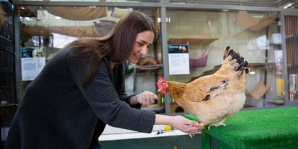 � ������ ���������������� ������� ������ �������� ��, �� ������ �� ��������