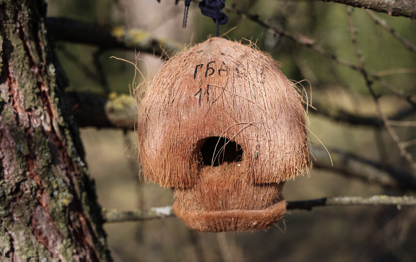 ������ ��� ���� ��������� ������� ������ ������ �� ��������� �������.