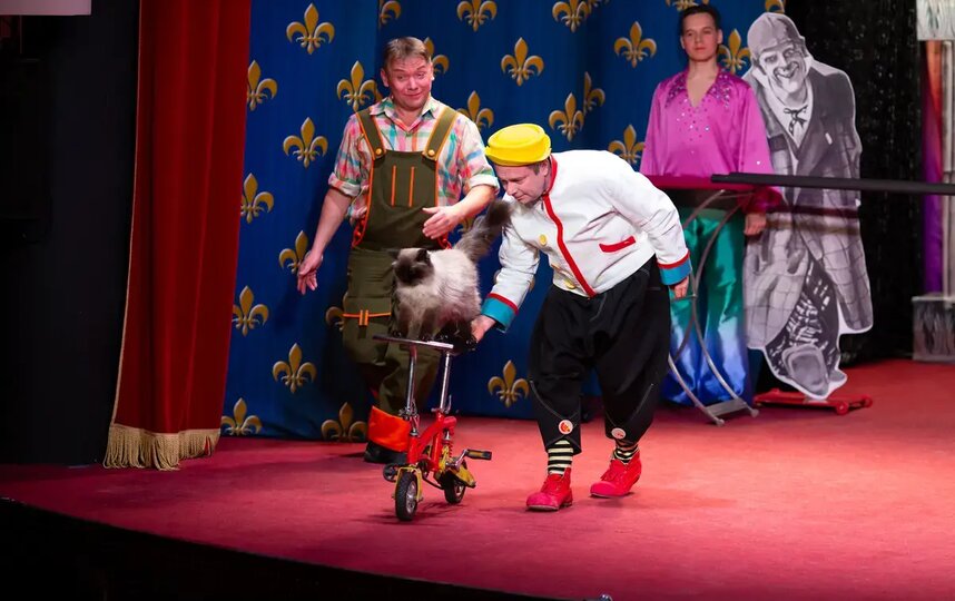 ����� � ������� �������