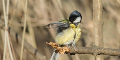 ���������� �������� � ��������� ��������� ��������