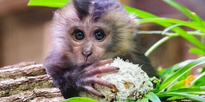 ���������� �������������� �������� �������� ��������� ������ ���������