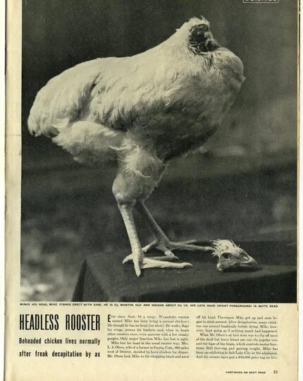 ������ � ���������� ������ ����� � ����� �� �����.