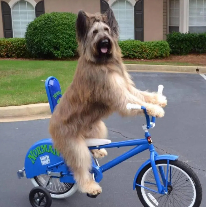 ϸ�-���������� ������ �������� �� ���� ���������������� ������.