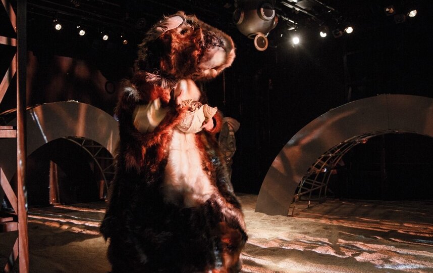 ������ �� ��������� "�������".