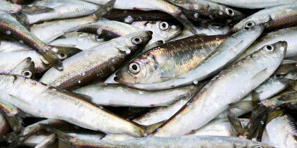 ����� ������� � ���������� �������� � 15 ������