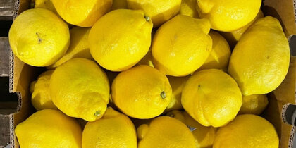 � ��������� �� ������� ����� 48 ���� ���������� �� �������