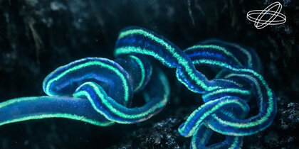 � ������ ���������� ������ �������� ���� ���� ��� ��������� ������� ������������