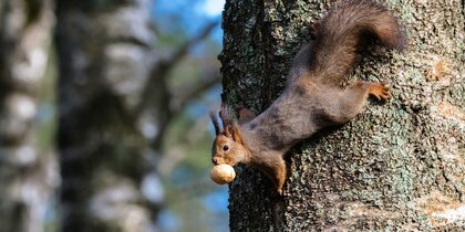 ������� ���� ��� ��������� 2 ������. ����� �������� ����� � ��������� �����������