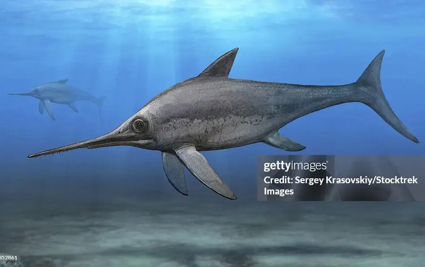 ��� �������� "��������" ���������