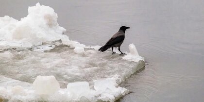 � ��������� �������� ������� � ����� � ������