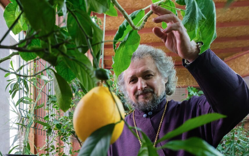 ���� �����������, ���������� ����� ������� ��������� ��������������