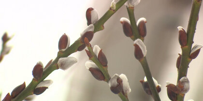 ��������� ������ ��������� ������������ � ������� ������������