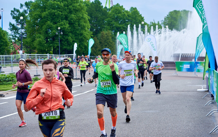 ����: �����-������ ���������