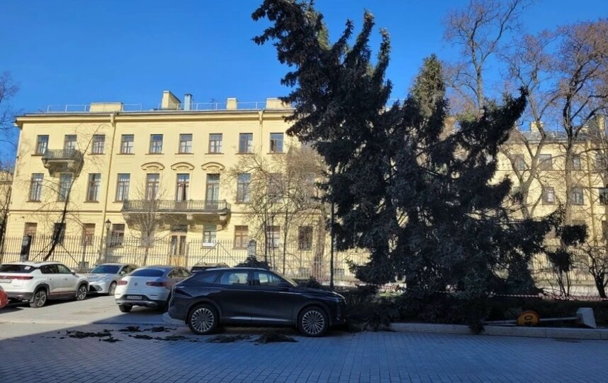 Коммунальные службы справились с последствиями сильного ветра