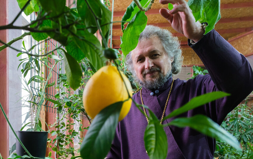 ���� ����, 61 ���, ���������