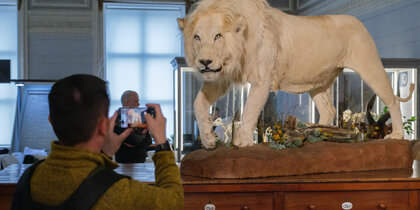 � ����������� ������� ����� ��������, �� ������� �����