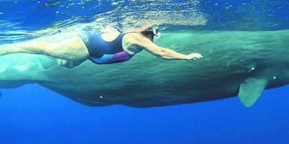 ������� ������ ������� � ������ � ������ ������