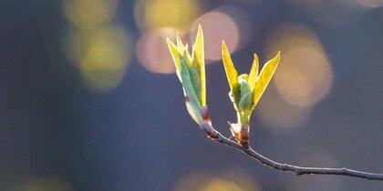 ����������� ���� � ���������� ���� ����� ����� � ������ ����