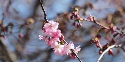 � ���������� ������� ������, �������� � ��������