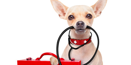 ��� ������, ��� ������ ������: ���-���� �� ������ ��������� � ����� �� ��������