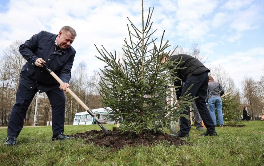 В Петербурге стартовала весенняя кампания по озеленению вместе с жителями