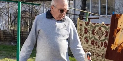 ������� �������: ���������� ��������� ��������� � ������� � ����� ������ ��� ��������