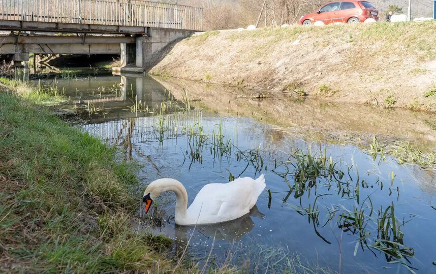 ������ ���� ���������� ���� ������ ���� � ��� � �������� ���������� �������� ����������.