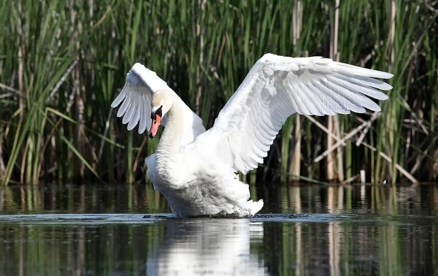 ������ �� ������ ������� ��� ����� ����� ���������� �� ������������ ��������. ������ ������� ����� ����� �������, �� � ������������ � �����-�����.