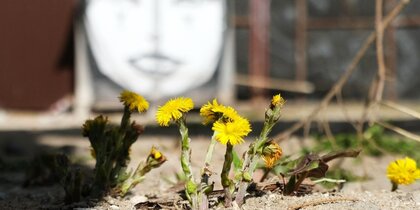 � ���������� ����� ��������, �� �������19 ������