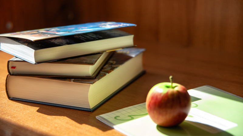 Минпросвещения поддержало удаление из соцсетей видео с оскорблениями учителей