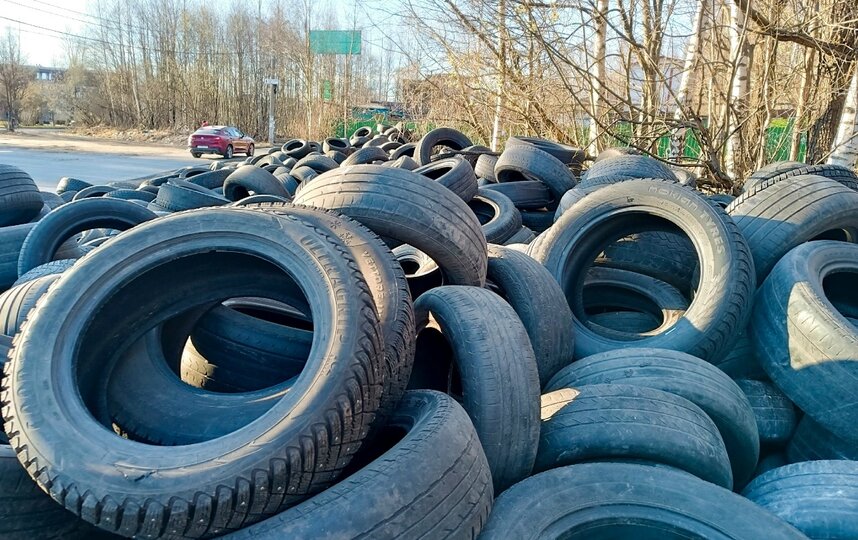 Домик для лягушек и мини-катастрофа для экологии: как борются со свалками шин Петербурге