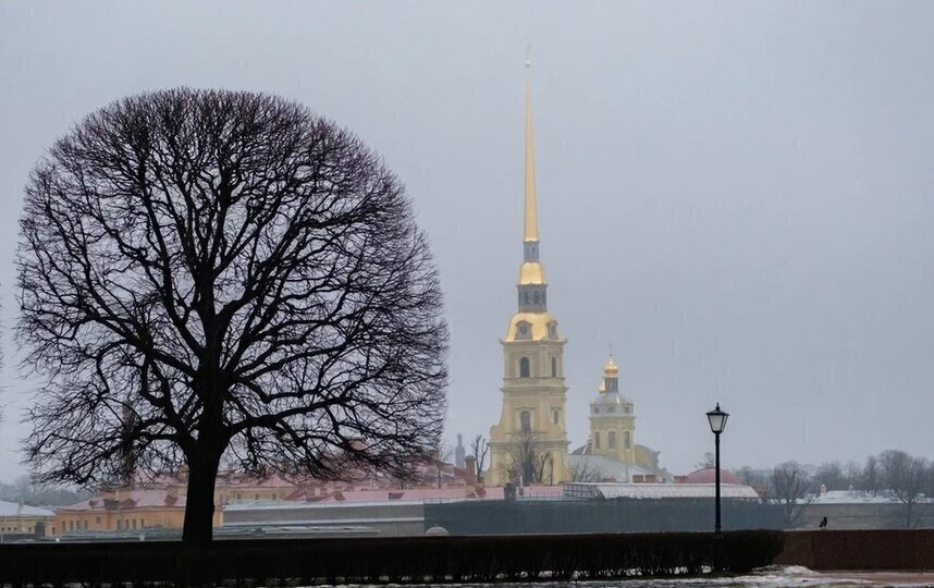 Холодный фронт принесёт в Петербург дожди и мокрый снег