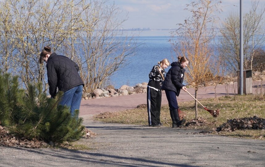 В Петербурге убрано 64,6 млн кв. метров территорий в рамках месячника по благоустройству