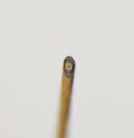 В Петербург привезли картину, написанную на срезе человеческого волоса