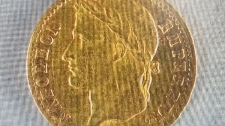 В России задержали француза с контрабандой золотых монет на 53 млн рублей