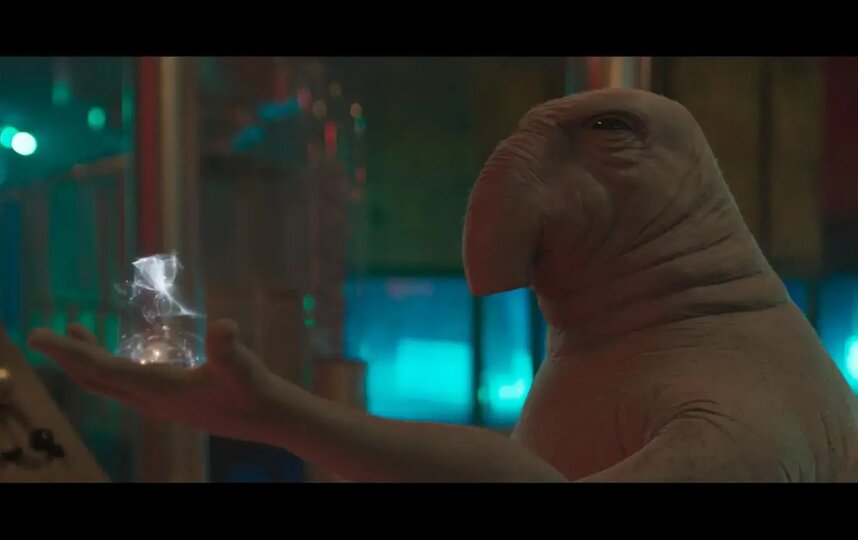 ���� � ����� ����� �������� �� ����� � ������� �����������.